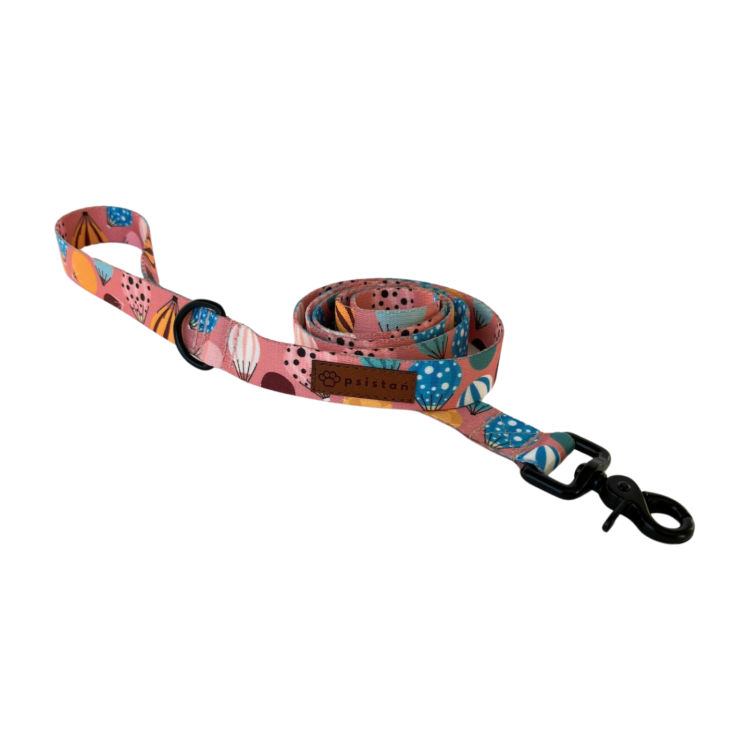 IMG_1081 (3).png