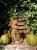 IMG_4590.jpeg
