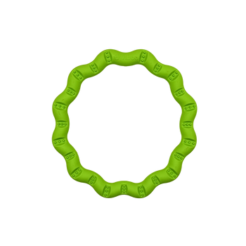 pol_il_Fringoo-1123.png